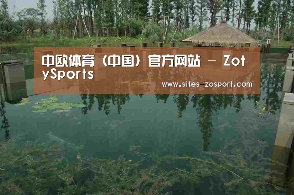 案例展示二(图1)