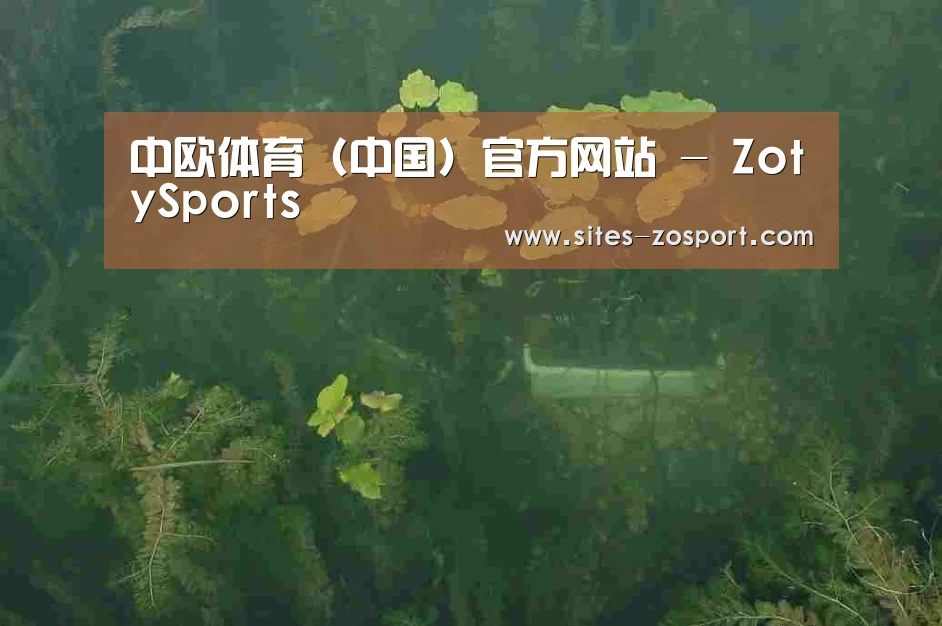 案例展示三
