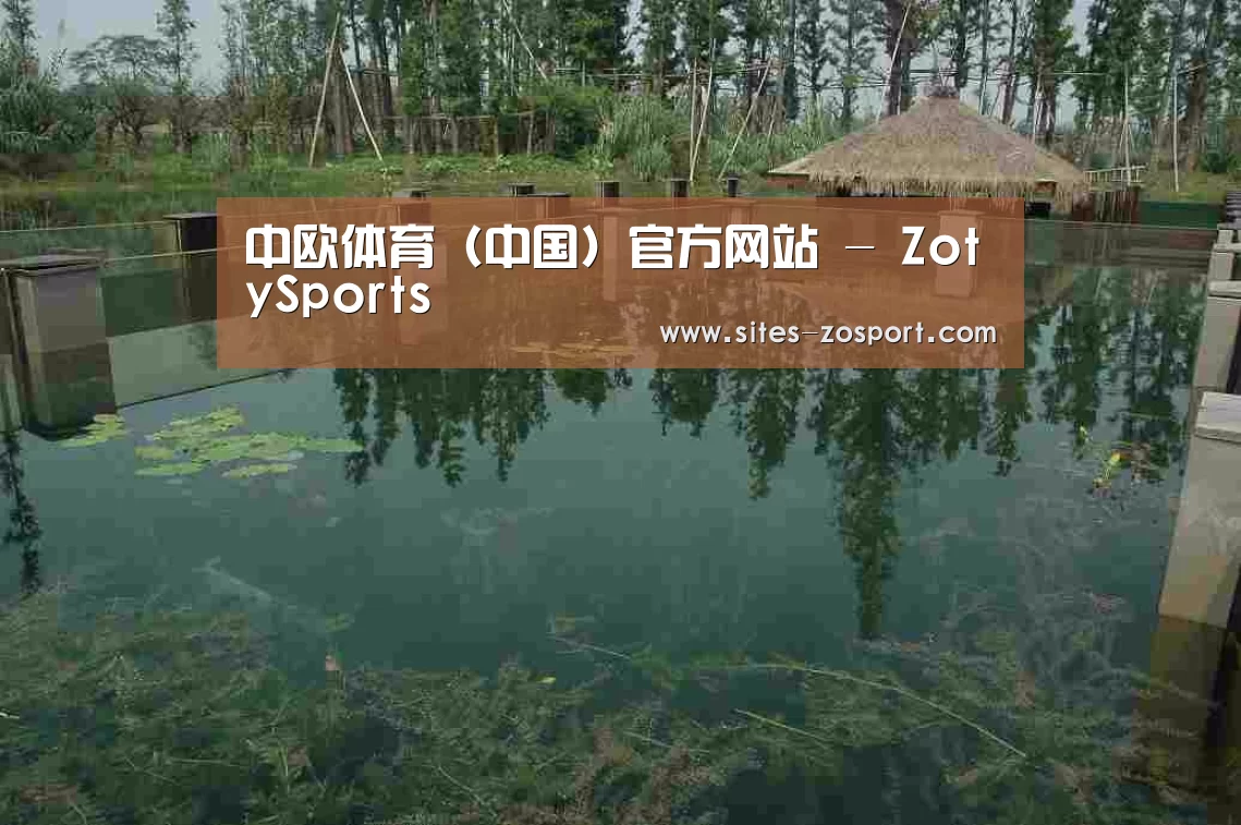 案例展示二