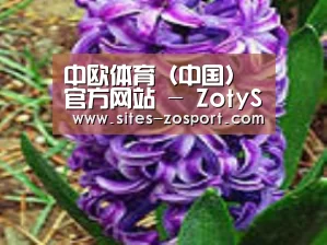 产品名称八