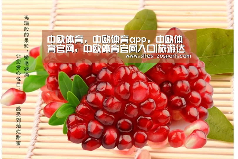 中欧体育，中欧体育app，中欧体育官网，中欧体育官网入口