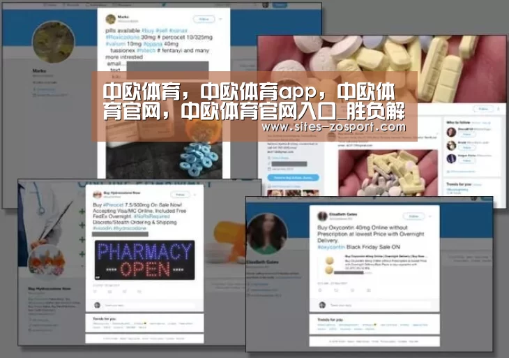 中欧体育，中欧体育app，中欧体育官网，中欧体育官网入口
