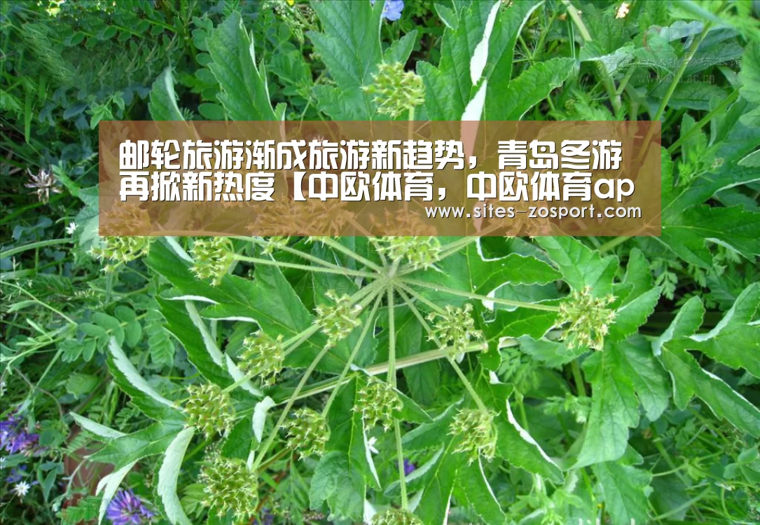 邮轮旅游渐成旅游新趋势,青岛冬游再掀新热度【中欧体育,中欧体育app,中欧体育官网,中欧体育官网入口】(图1) 中欧体育,中欧体育app,中欧体育官网,中欧体育官网入口