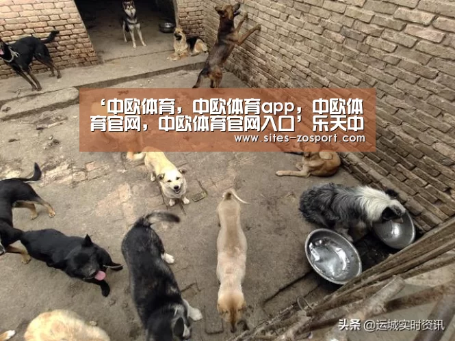 ‘中欧体育,中欧体育app,中欧体育官网,中欧体育官网入口’乐天中国官网已瘫痪两