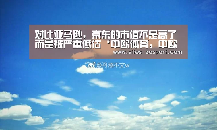 对比亚马逊,京东的市值不是高了而是被严重低估‘中欧体育,中欧体育app,中欧体育