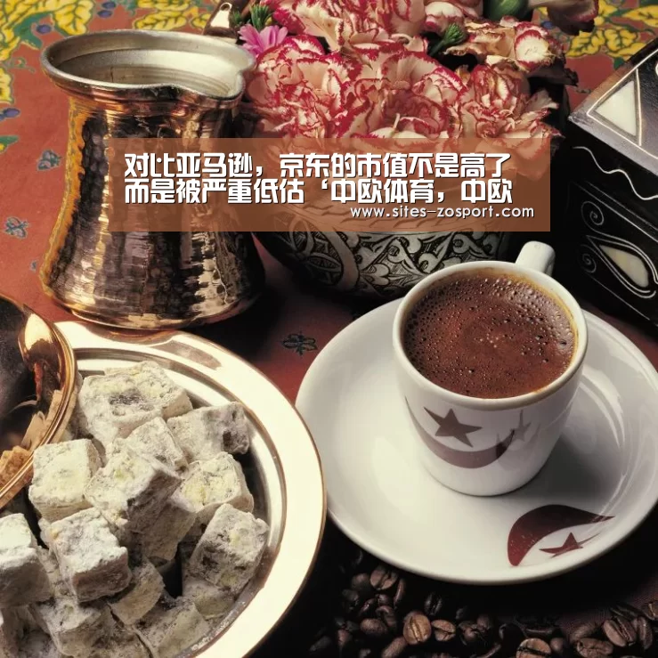 对比亚马逊,京东的市值不是高了而是被严重低估‘中欧体育,中欧体育app,中欧体育官网,中欧体育官网入口’(图4) 中欧体育,中欧体育app,中欧体育官网,中欧体育官网入口