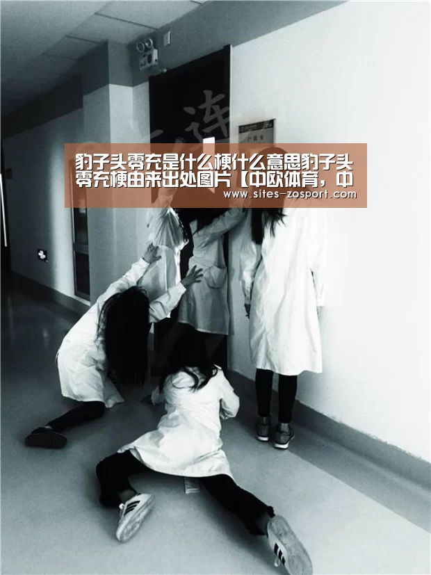 豹子头零充是什么梗什么意思豹子头零充梗由来出处图片【中欧体育,中欧体育app,中