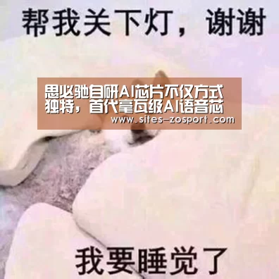 思必驰自研AI芯片不仅方式独特,首代毫瓦级AI语音芯片也仅用1年:中欧体育,中欧