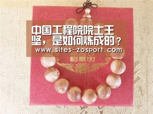 中国工程院院士王坚,是如何炼成的?|中欧体育,中欧体育app,中欧体育官网,中欧