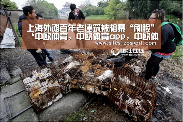 上海外滩百年老建筑被粗暴“刷脸”‘中欧体育,中欧体育app,中欧体育官网,中欧体育官网入口’(图1) 中欧体育,中欧体育app,中欧体育官网,中欧体育官网入口
