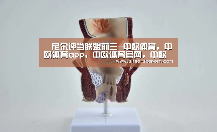 奧尼尔评当联盟前三-中欧体育,中欧体育app,中欧体育官网,中欧体育官网入口(图4) 中欧体育,中欧体育app,中欧体育官网,中欧体育官网入口